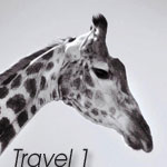 Travel 1